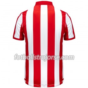 Stoke City Matchtröjor Hemma Fotbollströja 2019-2020